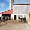 Part of the Zeidner cattle farm operation in Bradford County, Penn., includes stabilization of the laneways and animal concentration areas with heavy use area protection, one of the many ecologically sensitive land-management strategies owners Brian and Pat Zeidner employ. 
